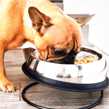 Load image into Gallery viewer, Enhanced Pet Bowl For Shih Tzu