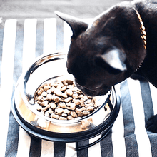 Load image into Gallery viewer, Enhanced Pet Bowl For Shih Tzu