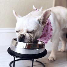 Load image into Gallery viewer, Enhanced Pet Bowl For Shih Tzu