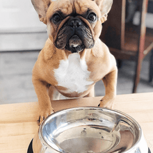 Load image into Gallery viewer, Enhanced Pet Bowl For Shih Tzu