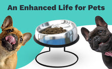 Load image into Gallery viewer, The Enhanced Pet Bowl