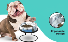 Load image into Gallery viewer, The Enhanced Pet Bowl