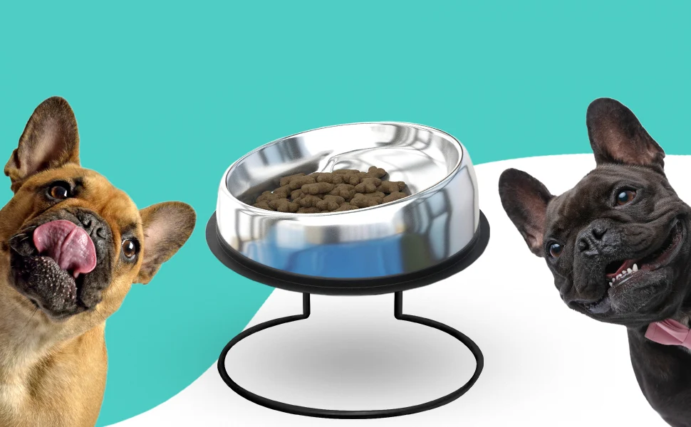 The Enhanced Pet Bowl