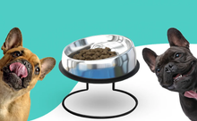 Load image into Gallery viewer, The Enhanced Pet Bowl