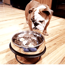 Load image into Gallery viewer, Enhanced Pet Bowl For English Bulldog
