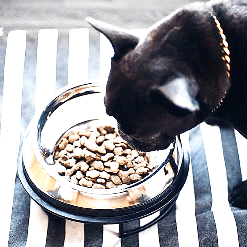 Boxer Kibble boxer – Enhanced Pet Products