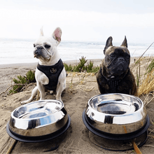 Load image into Gallery viewer, Enhanced Pet Bowl For French Bulldog