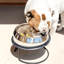 Load image into Gallery viewer, Dog eating from the enhanced pet bowl that&#39;s on top of the enhanced pet stand