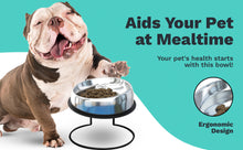 Load image into Gallery viewer, Enhanced Pet Bowl + Stand Bundle