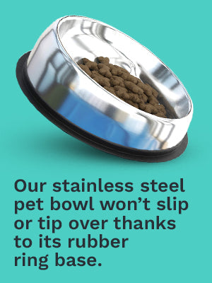 Enhanced Pet Bowl + Stand Bundle