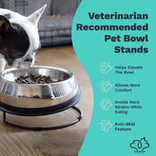 Load image into Gallery viewer, New Enhanced Pet Bowl Stand with Anti-Skid (Limited)