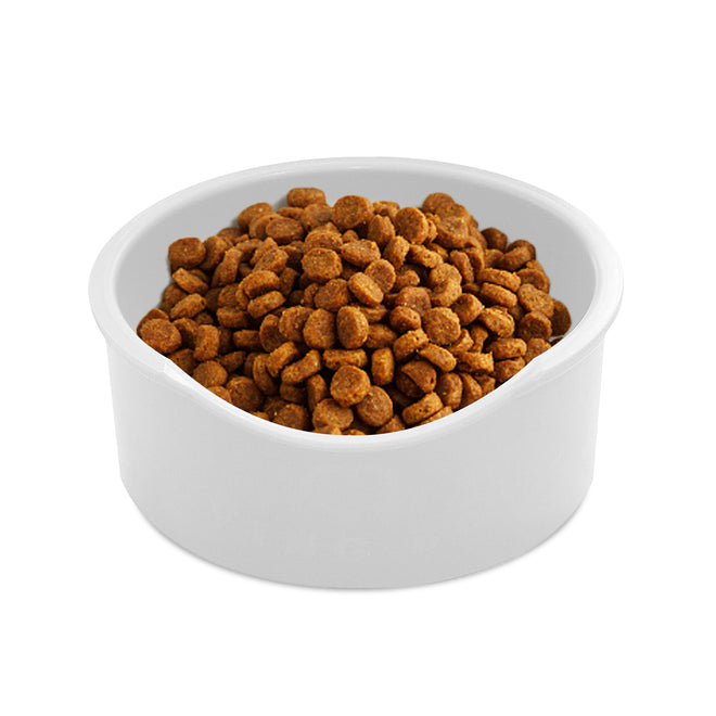 abs plastic Heated Pet Bowl Outdoor Dog Thermal-Bowl Provide