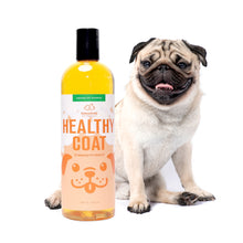 Load image into Gallery viewer, Organic - Healthy Coat - Pet Shampoo